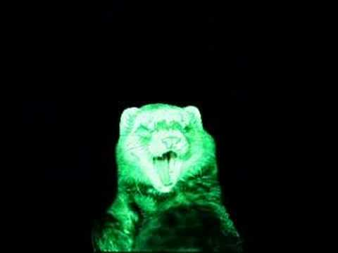 Ferrets4Elaina's tweet photo. When is @Elaina_Exe gonna get on the smp with the green boi? https://t.co/pkABGRAIds