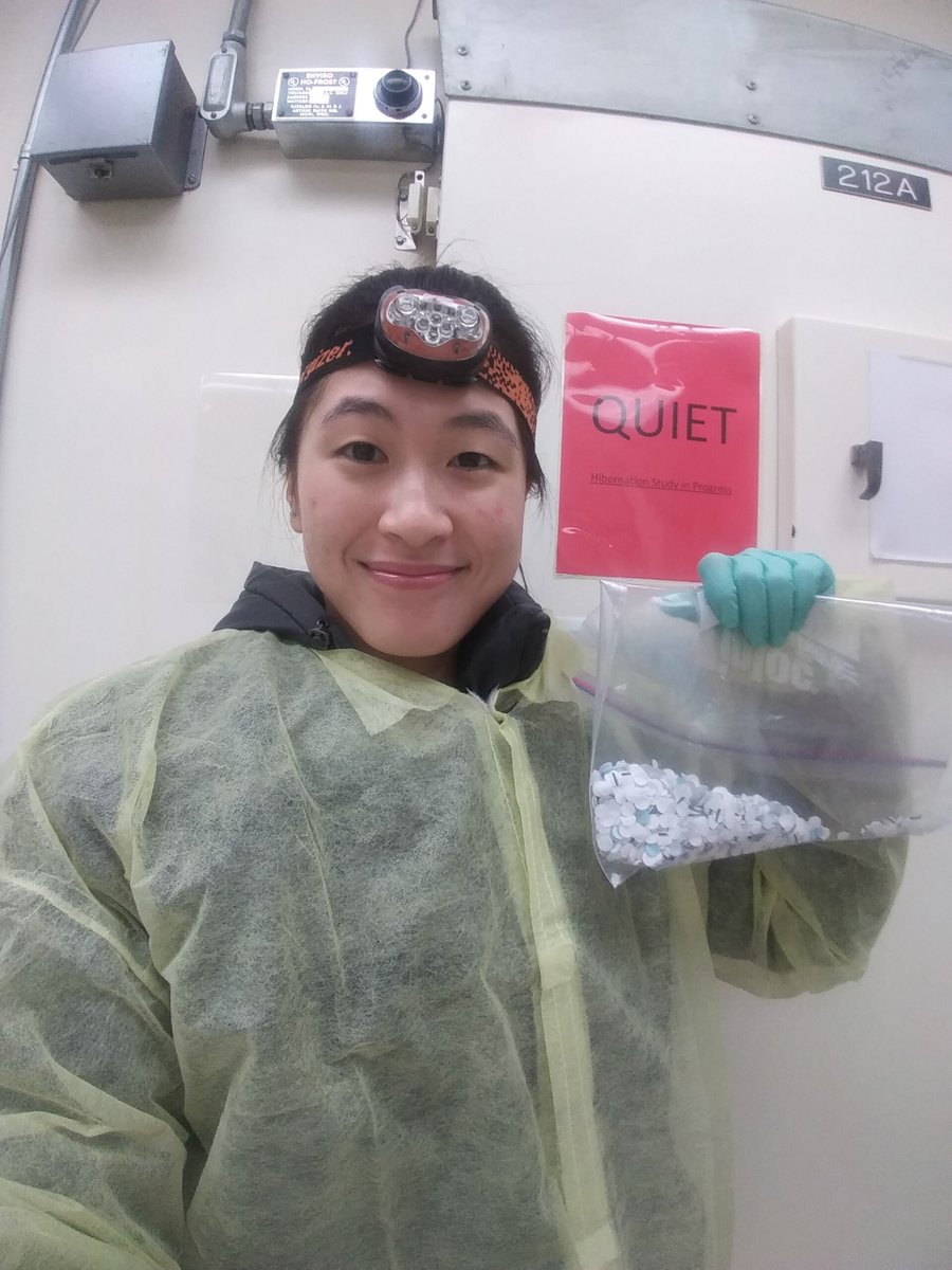 #MDTP Student Highlight: Edna Chiang

<a href="/EdnaChiang/">Edna Chiang, PhD (ednachiang.bsky.social)</a> studies the relationship between hibernating squirrels and their gut microbiome to help inform future research about biomedical issues related to diet and nutrition – like hibernating astronauts!

@SuenLab <a href="/13liner/">Carey Lab</a>