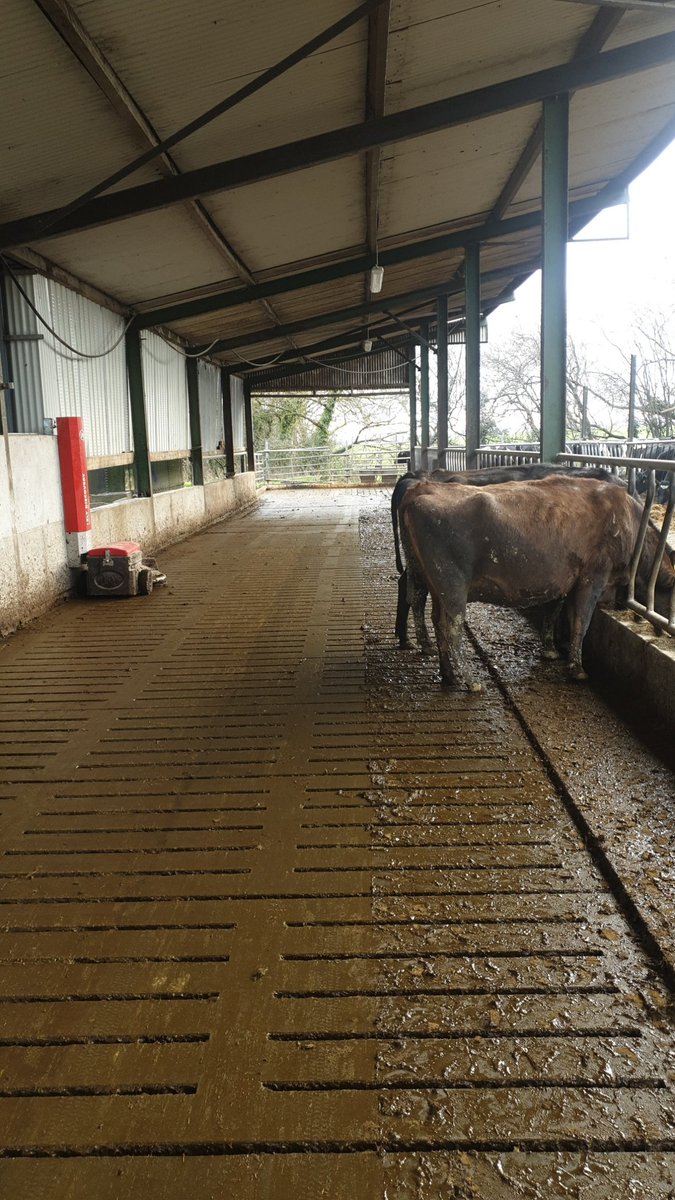 gkelly_2020's tweet photo. Discovery 90s installed in wexford today #lelydiscovery #cleanshed @LelySouthEast https://t.co/Iql2t15A1t