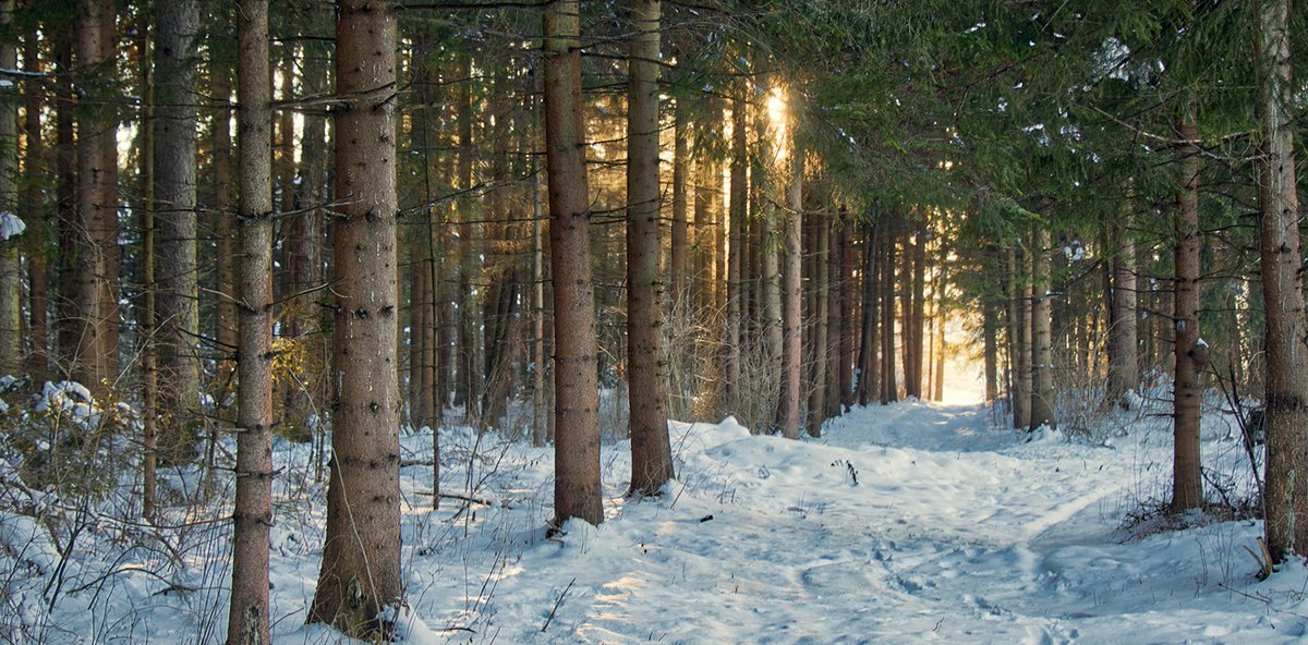 Exposure to trees and nature can reduce stress, especially if stress levels are high.

Make time for yourselves.