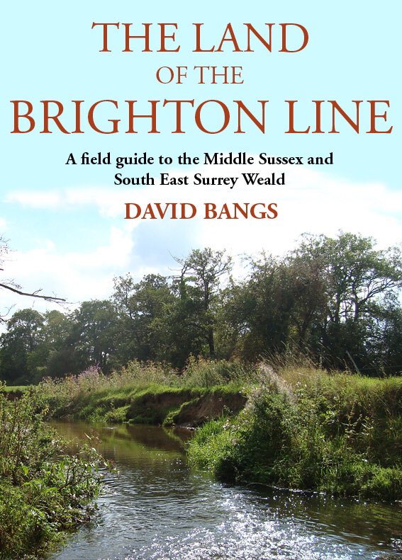 downlanda's tweet photo. @guyshrubsole @isabella_tree A local hero in #Brighton. https://t.co/rt6kqQJDSm @whitehawkhill @MatthewPope @CampaignerKate @MarionShoard https://t.co/m7cCwCQKcE