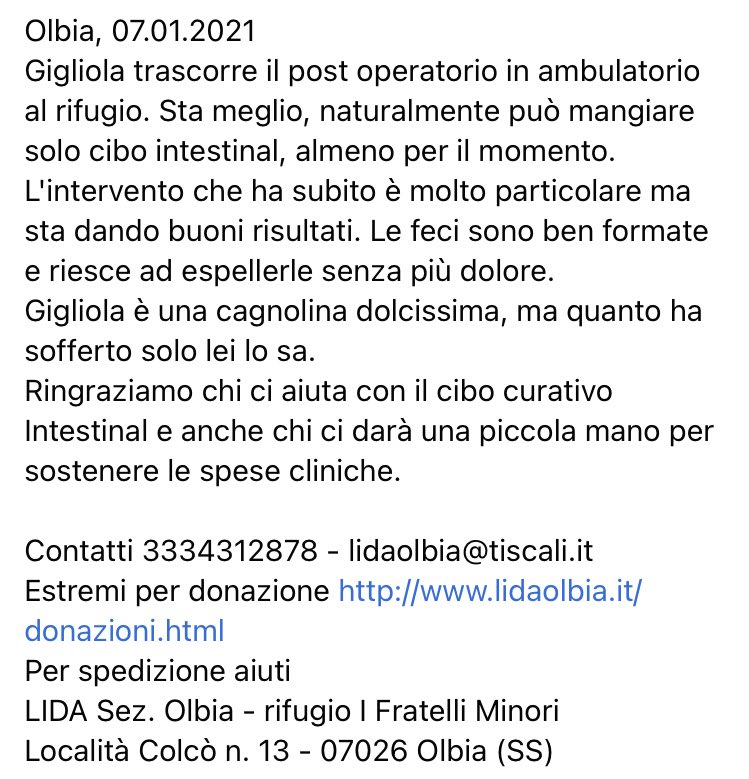 LidaSezOlbia's tweet image. #Gigliola trascorre il #postoperatorio in ambulatorio al rifugio.
Ringraziamo chi ci aiuta con il cibo curativo #Intestinal e anche chi ci darà una piccola mano per sostenere le #spesecliniche.
lidaolbia.it/donazioni.html