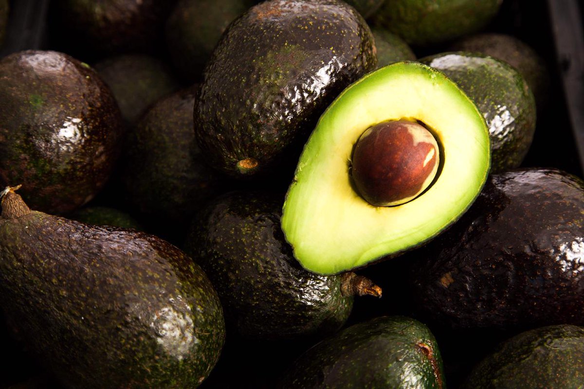 vmva1950's tweet photo. Los invitamos este 10 de enero a las 11:00 am a formar parte de #NuestraRiqueza: el #Aguacate, donde celebraremos el valor histórico, cultural y alimentario de este producto prehispánico que enaltece la gastronomía mexicana y el trabajo de nuestros #HéroesDeLaAlimentación (1/2) https://t.co/IX6ZxQw4AZ