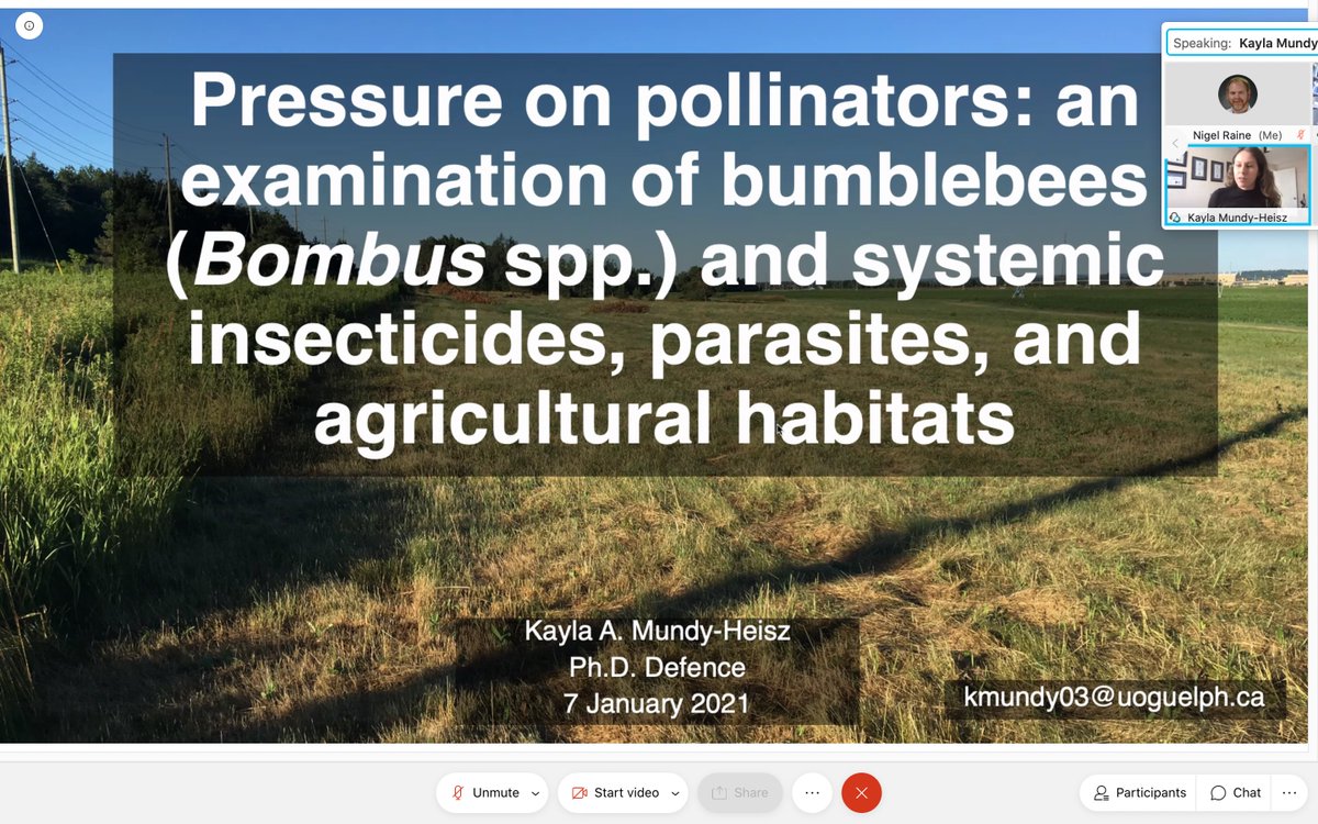 NigelERaine's tweet photo. Congrats Dr. Mundy-Heisz on successfully defending your PhD today on how #bumblebees may🐝exposed to systemic #insecticides & #parasites in ON farmlands & natural areas🎉Thanks to examiners @Alex_Smith_Ants @RyanPros Hollis Woodard Ernesto Guzman #ProudCosupervisor @1in3mouthfuls https://t.co/YP6D8UCNFc