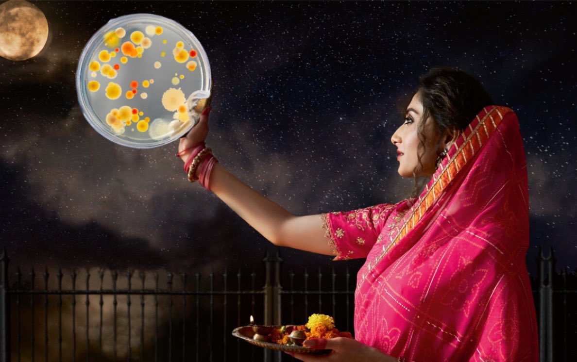 How I feel when I am looking at a petri dish