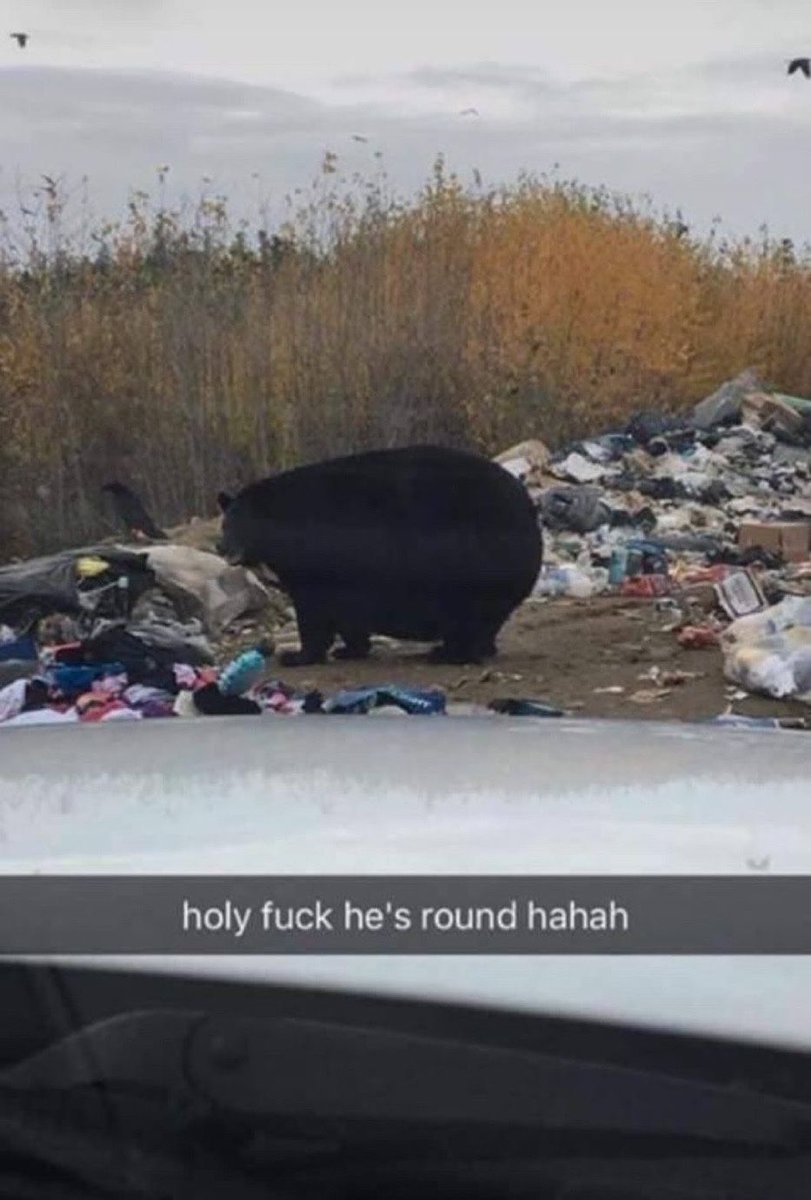 CauseWereGuys's tweet photo. An absolute unit https://t.co/zQUefFYn9z