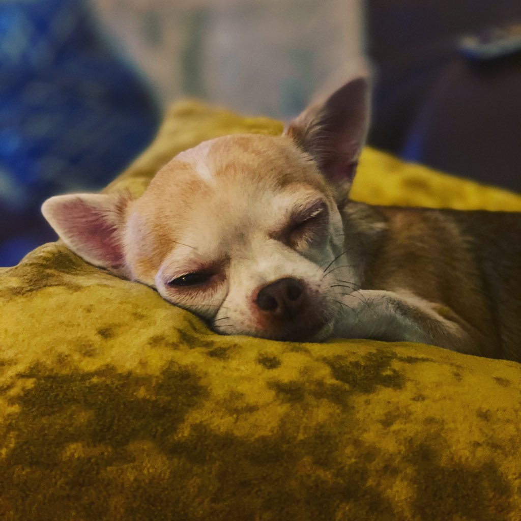 Goodnight dear hearts