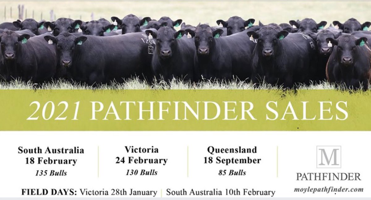 Pathfinder Angus tweet media