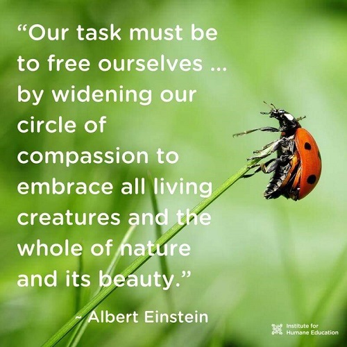 HealingCorner1's tweet photo. https://t.co/GciK7iyn3A