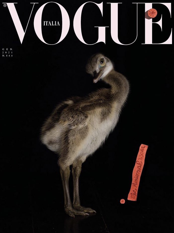 “The Animal Issue”, Vogue Italia, January 2021.