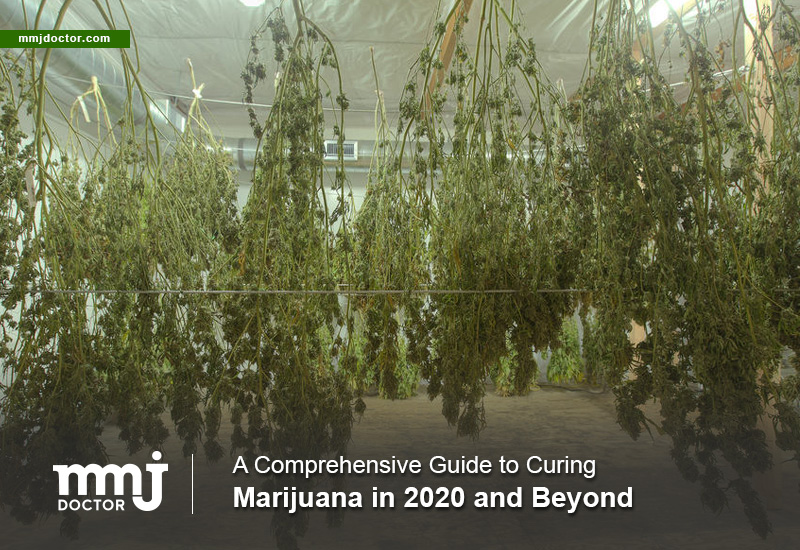 _MMJDoctor's tweet photo. Every cultivator must come up with the best marijuana crop on the market. And the best marijuana crop should come as a result of many factors with careful cultivation and a well-designed curing plan included.

https://t.co/kt2UcsOBK2 https://t.co/FLdt4ZUfjO