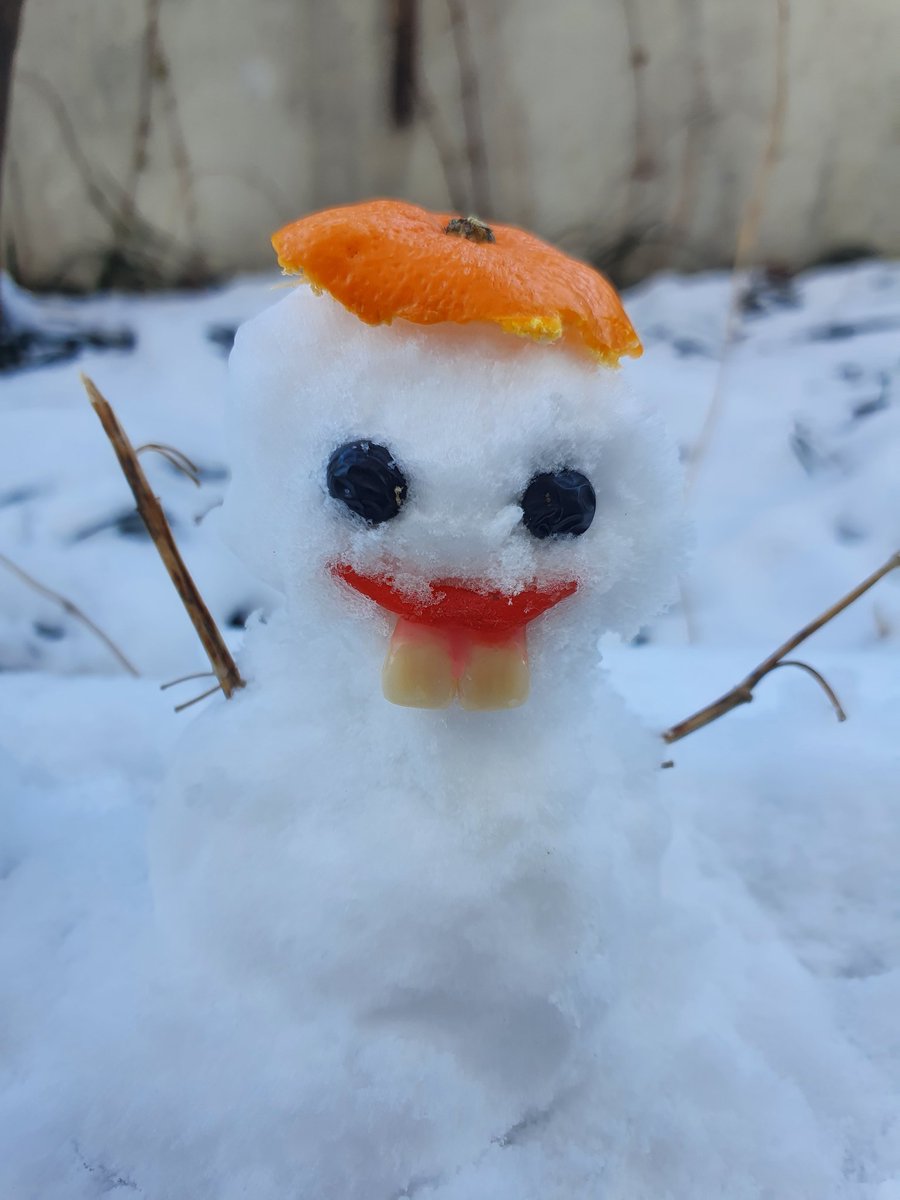 힘내는 장실장 tweet media