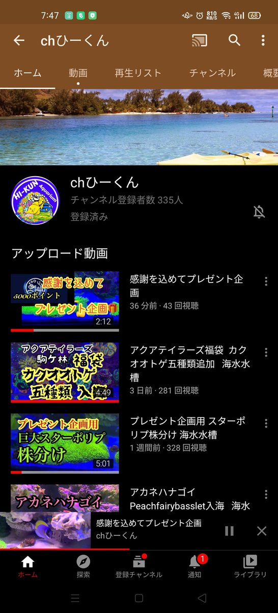 marineaqua0's tweet photo. @ia9wglxZIXivQUC すみません貼るの忘れてました。🙇 https://t.co/59v3CLqqXG