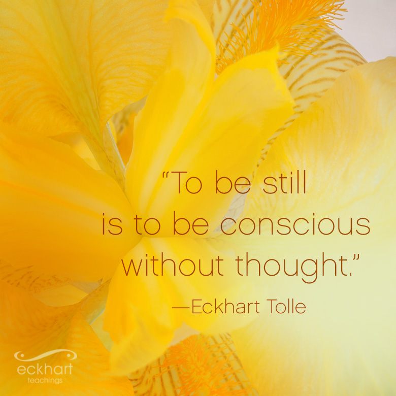 Eckhart Tolle tweet media