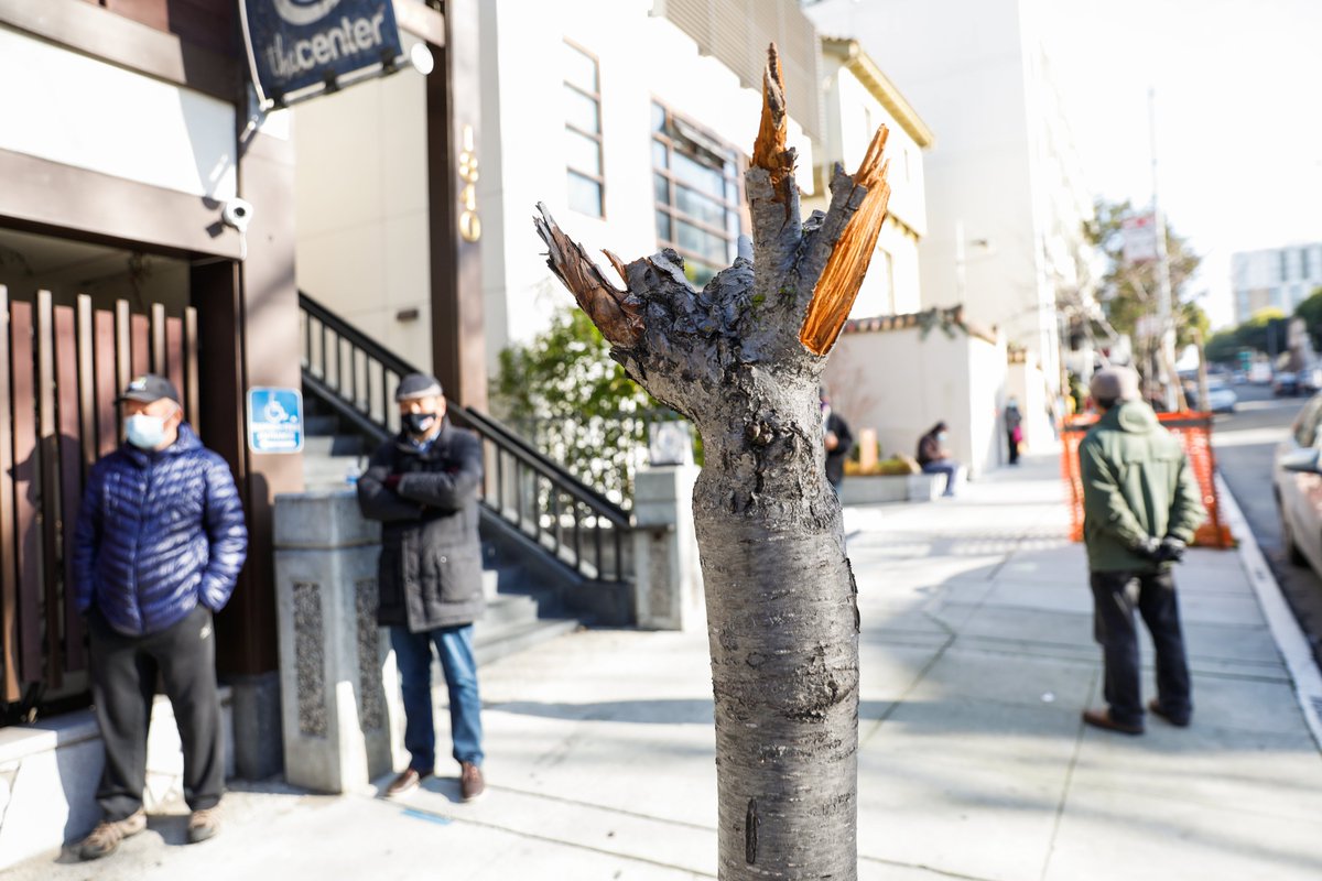 San Francisco Chronicle tweet media