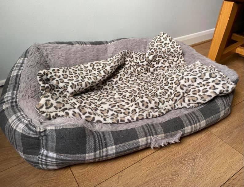 FindTedSW20's tweet photo. 1 of 2 // Your bed still lies empty for now but we will not give up hope that one day you’ll be curled up snuggled in it. 

Please whoever has him keep him safe and well looked after,better still give him back so he can be with his actual family. https://t.co/yssKAYlLvn