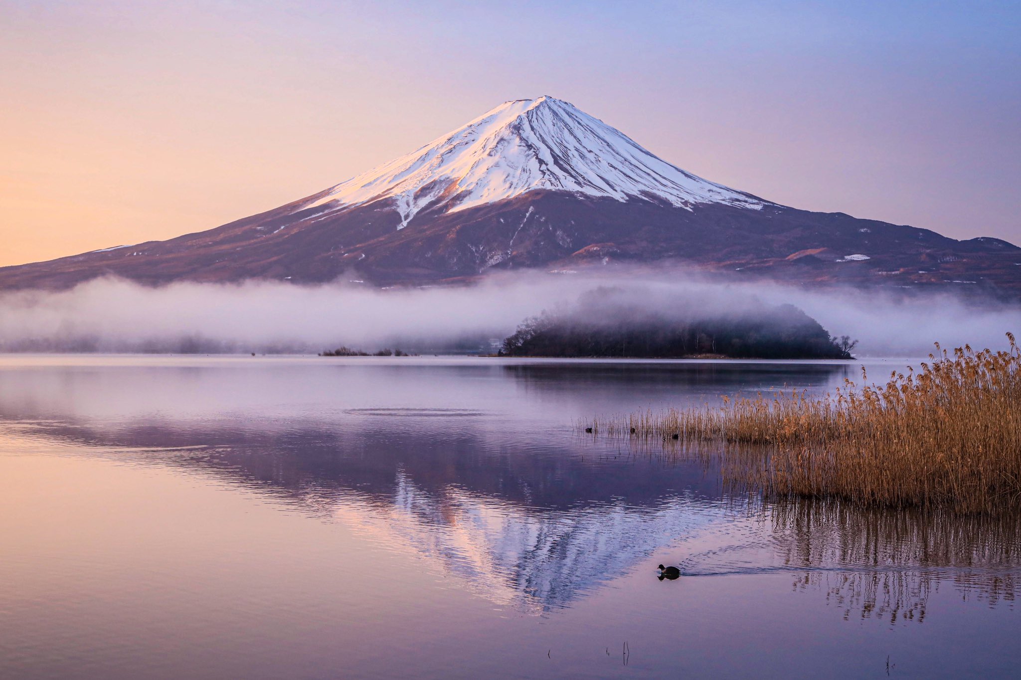 新富士山景 神気 橋向 真 僕に出来ることは皆さんに美しい富士山の写真をお見せすることぐらいですが 少しでも気持ちが晴れたり楽になって頂けたら嬉しいです 新富士山景 癒しの富士 T Co Tysegwzeuj Twitter