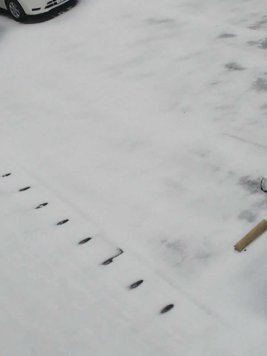 シン 福岡市 九州 福岡市 博多区 雪 ここら辺で雪が積もるのは珍しいことです 一年に一回あるかどうかのレベルです シン 福岡市 九州 福岡市 博多区 雪 ここら辺で雪が積もるのは珍しいことです 一年に一回あるかどうかのレベルです
