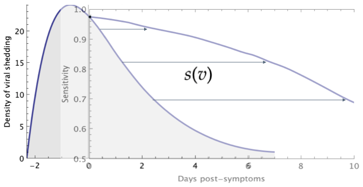 mapped an interpolation function between viral shedding v(t) from the infectivity curve to sensitivity of detection s(v). https://www.nature.com/articles/s41467-020-20742-8.epdf?sharing_token=GA6FCqudo8iUNz3j5ToMuNRgN0jAjWel9jnR3ZoTv0OuoQWDwXvoOqvQ6JoxBthPWy_fq5wW05v-vYANCpXSxwopX978SsufJzbcAPeAzvx5JcvnQPfi-wMqhxEalwRBcUdXEV9lLlDTuzg-SjrEkYTFsXkB_mfTKQVgbpFCkf8%3D