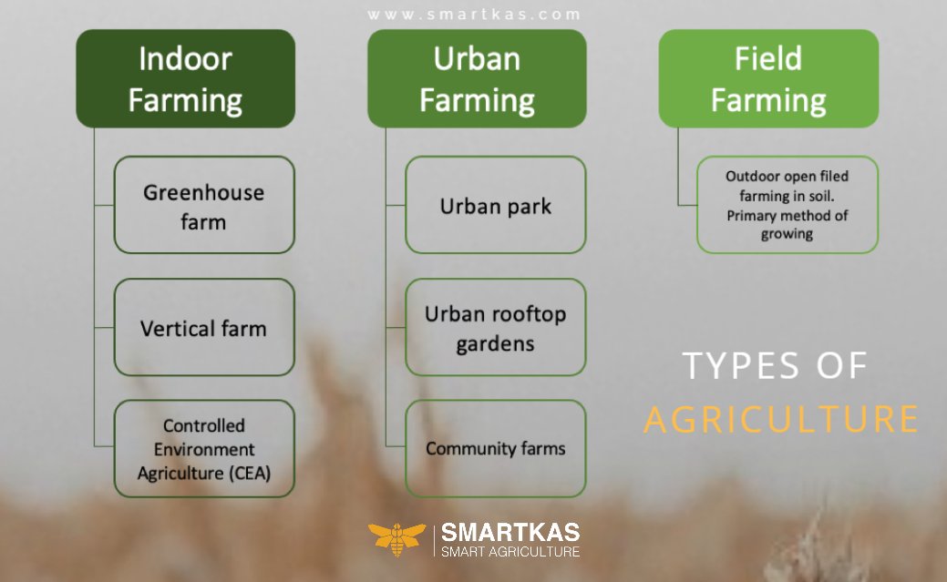 smartkastech's tweet photo. As you can see from the taxonomy, indoor farming is a subset of all farming. Smart farming and urban farming are more profitable and space-saving, so they are becoming more popular. check https://t.co/jD6B8HXVO8 #smartkas #verticalfarming #farming #urbanfarming #fieldfarming #FAO https://t.co/iN4ELqekh7
