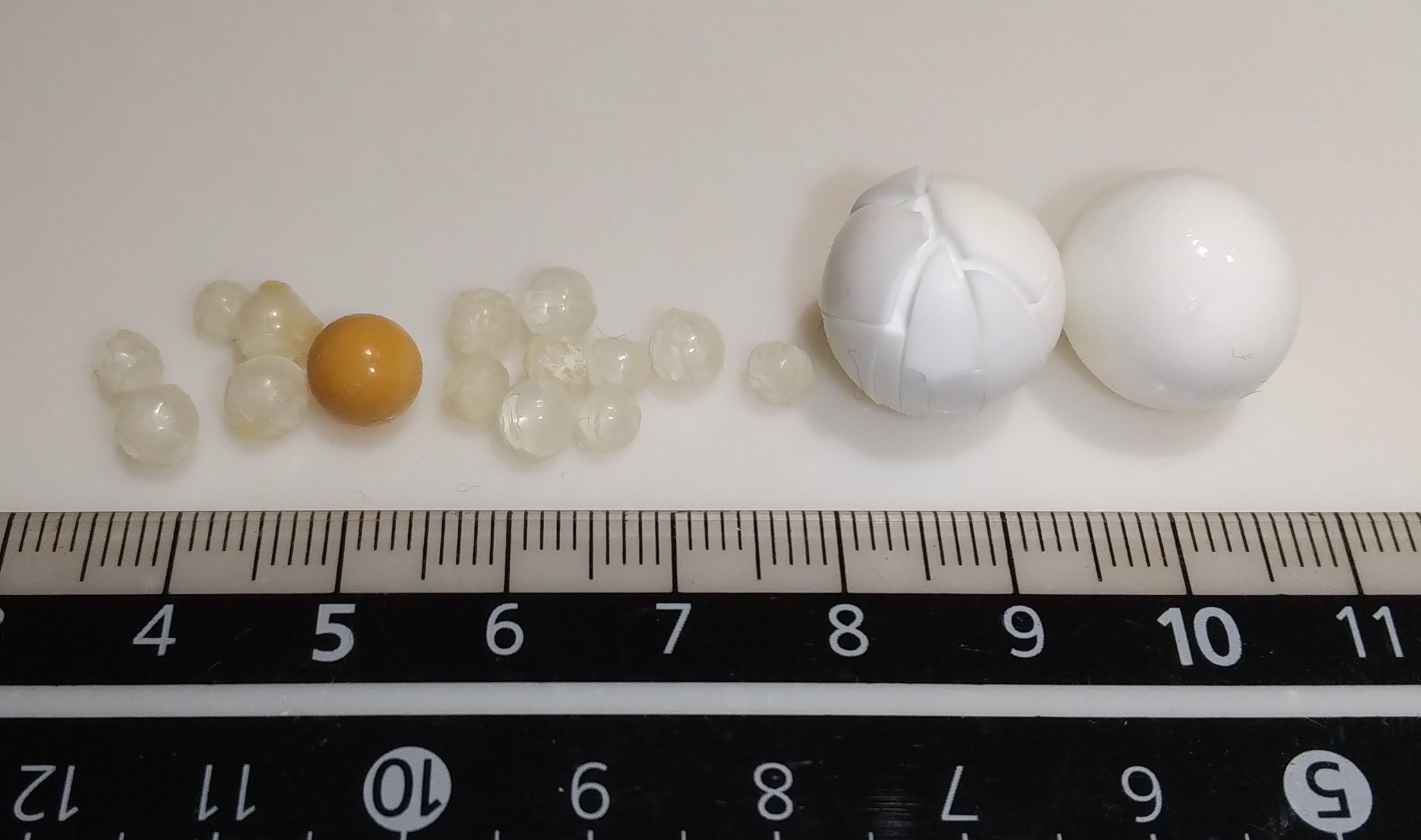 有尾目りこぴん Auf Twitter 実は食べた魚の目玉 集めてます 右のは昨日食べた金目鯛 白い所削ると半透明な球体出てきてキレイです 魚の 目玉 収集癖