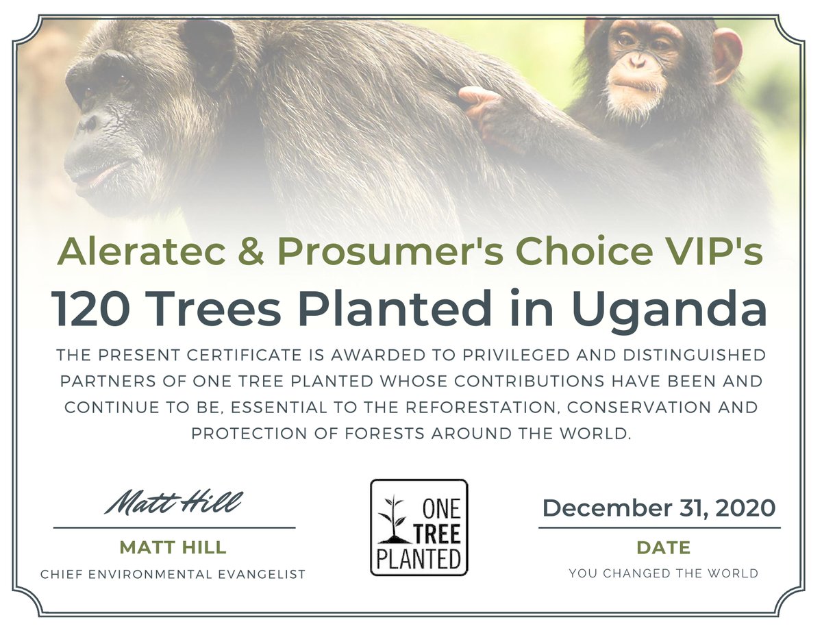 For 2021, we've donated over a hundred trees to help with rebuilding the world’s rainforests.

Through our partner <a href="/onetreeplanted/">One Tree Planted</a>, these trees will reduce the impact of wildfires, protect natural oxygen supplies, and improve both forest resilience and safety.