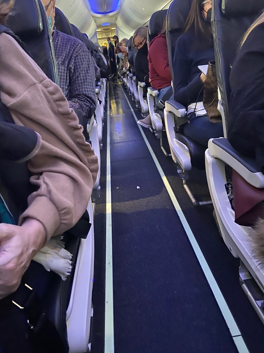 pcraigmillard's tweet photo. Bug or a feature? Pool Party! 
@AlaskaAir https://t.co/ZUAN7cJOLk