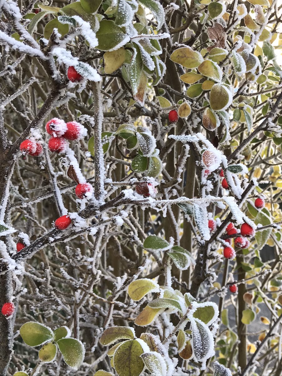 Jay_Tee71's tweet photo. 😊nature still gently reminding us that everything will be ok. She was at her criminally breathtaking best today, I cannot believe the beauty I witnessed! And evidence that spiders need socks 🕷 ! @rail @griceydavis @Emery48Sally #SpiderSocks #KeepLooking4it https://t.co/yOt7mFjDc1