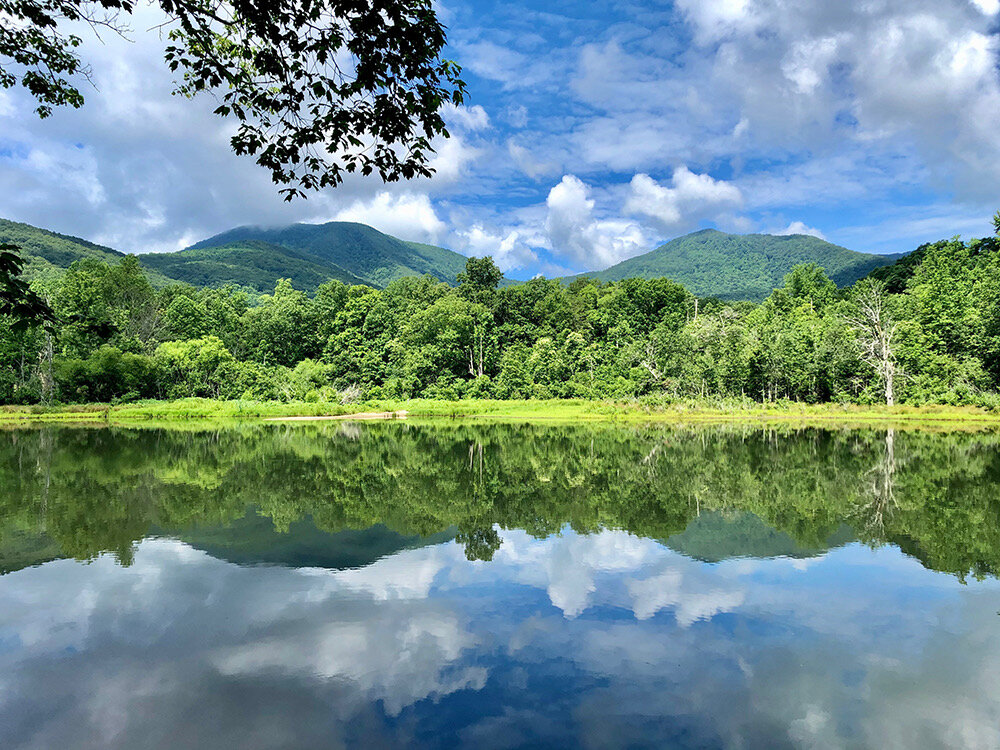 Off the Grid Gvl tweet media