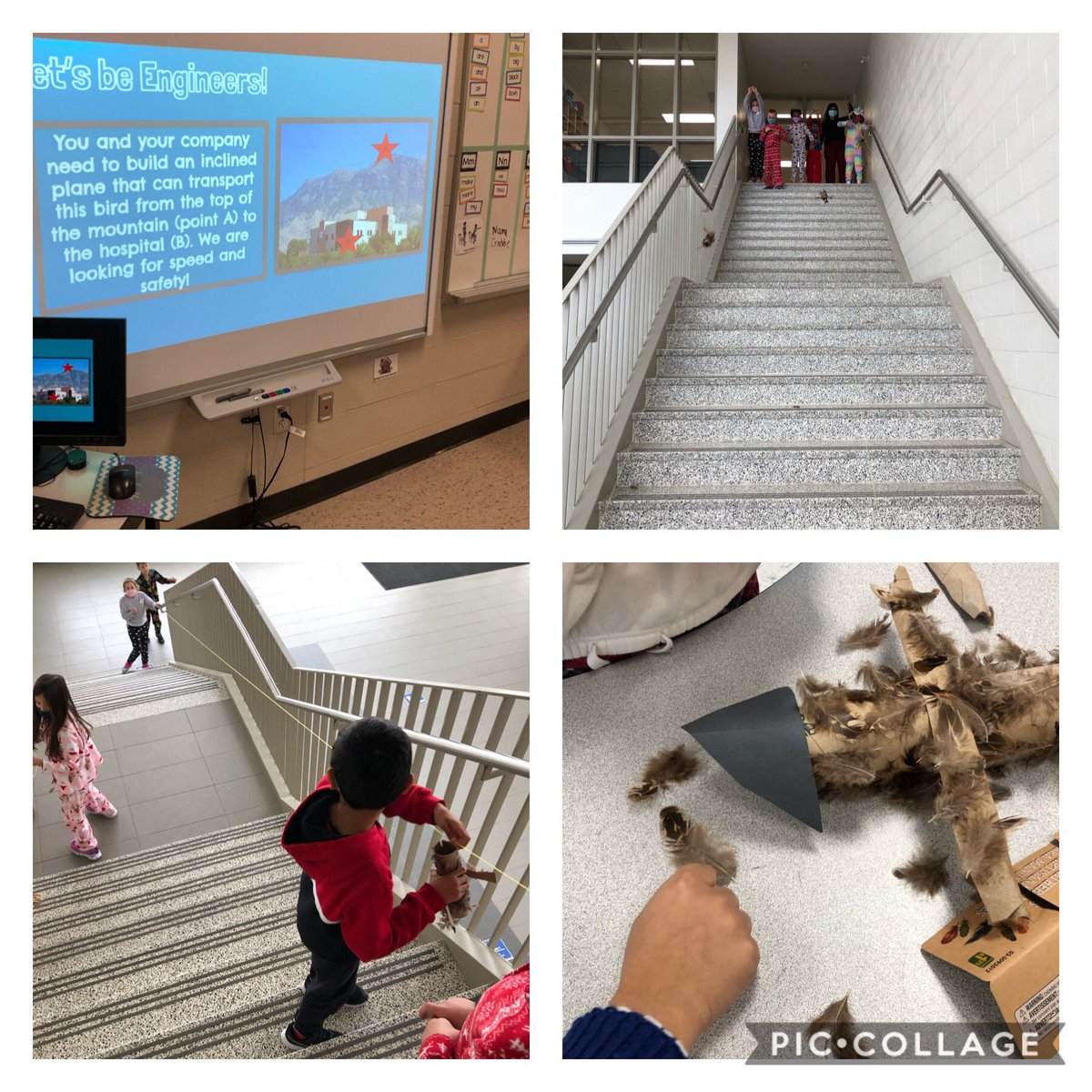 One of my favourite lessons! The engineers were at it again! Ss explored how they could get the injured bird to safety the fastest by constructing an inclined plane? “The steeper the better”! <a href="/SACTVDSB/">Sir Arthur Currie PS</a> @EY_uwindsor @mrscrabbe4