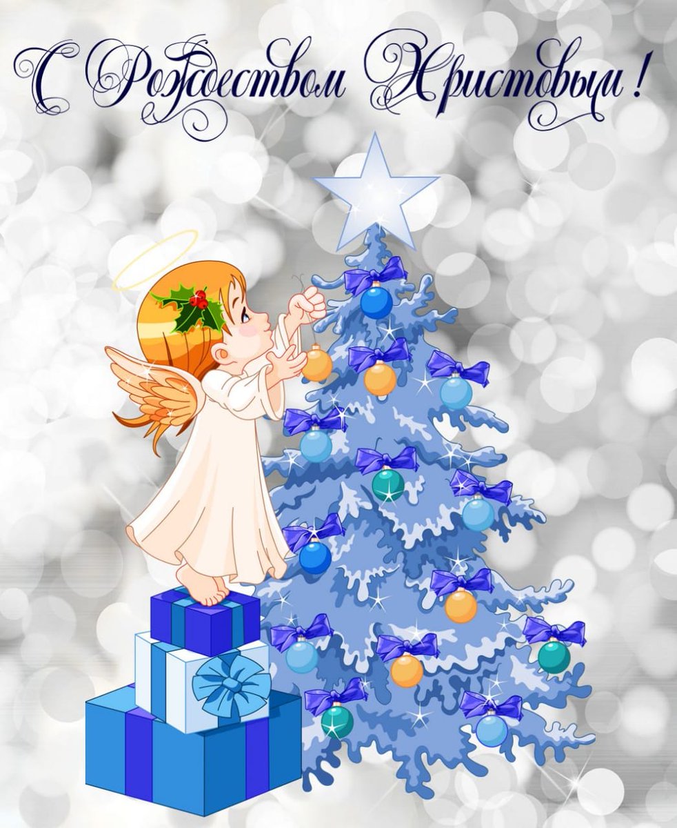 SeraMarpet (@seramarpet) on Twitter photo 
