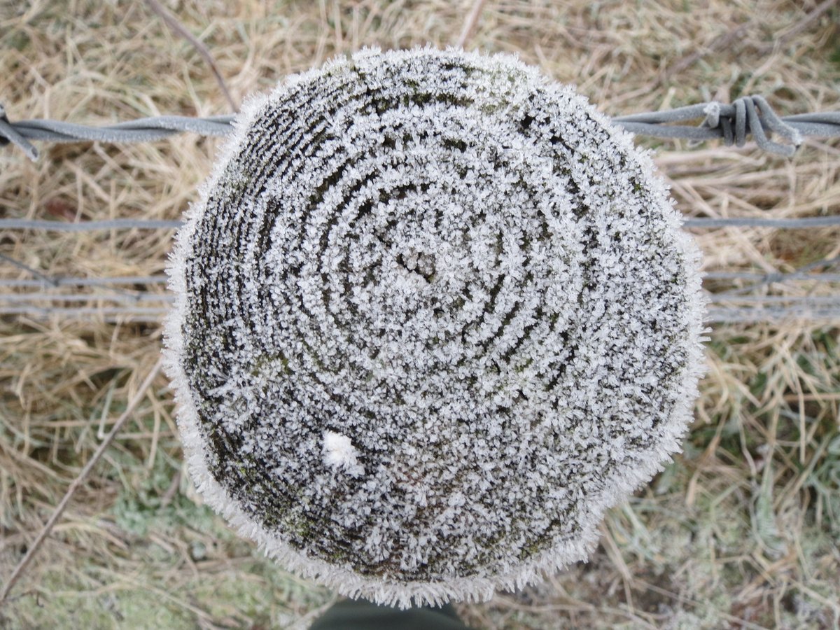 "I've never seen this stile before" I said. "The frost highlighted it today so...I'm taking a stile's photo for someone called Stiles. For the  #StileCup.""Are you from around here?""Yes, I live next to Norene"Silence (always works - inspires an equal mix of respect & fear).