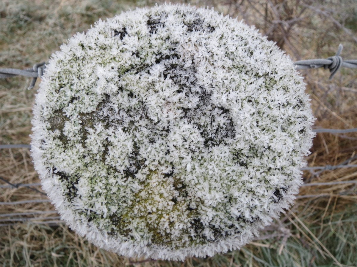 "I've never seen this stile before" I said. "The frost highlighted it today so...I'm taking a stile's photo for someone called Stiles. For the  #StileCup.""Are you from around here?""Yes, I live next to Norene"Silence (always works - inspires an equal mix of respect & fear).
