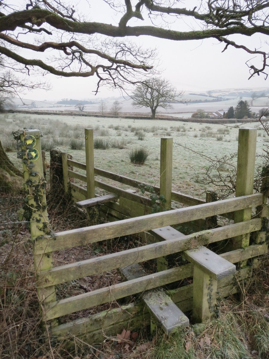 "I've never seen this stile before" I said. "The frost highlighted it today so...I'm taking a stile's photo for someone called Stiles. For the  #StileCup.""Are you from around here?""Yes, I live next to Norene"Silence (always works - inspires an equal mix of respect & fear).