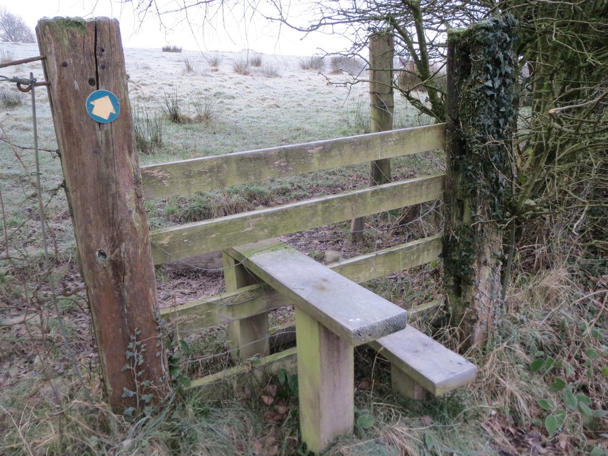 "Look! A stile!""Yes, I've got that one but he'll like the post" (took a pic or they'd think I'm not serious)"Here's our secret one. Flowers have taken over. No not from there, come here. it looks much better!"(I wasn't sure if they were stile converts or taking the mick)