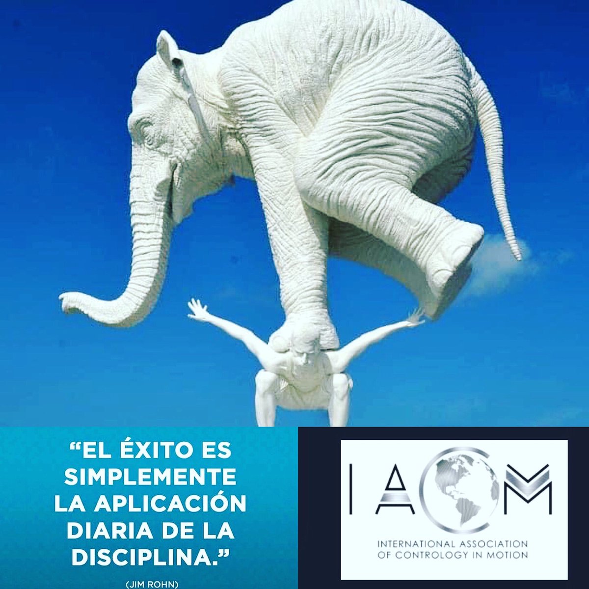 olgafitness's tweet photo. #IACM #Contrologia #Pilates
Vive la mejor experiencia de tu vida
Practicando diariamente Contrologia en Movimiento
Acerca a la Asociación Internacional de Contrologia en Movimiento
@olgafitness @FmuGmfofficial @MedisIdC https://t.co/oXGfN1XEf5