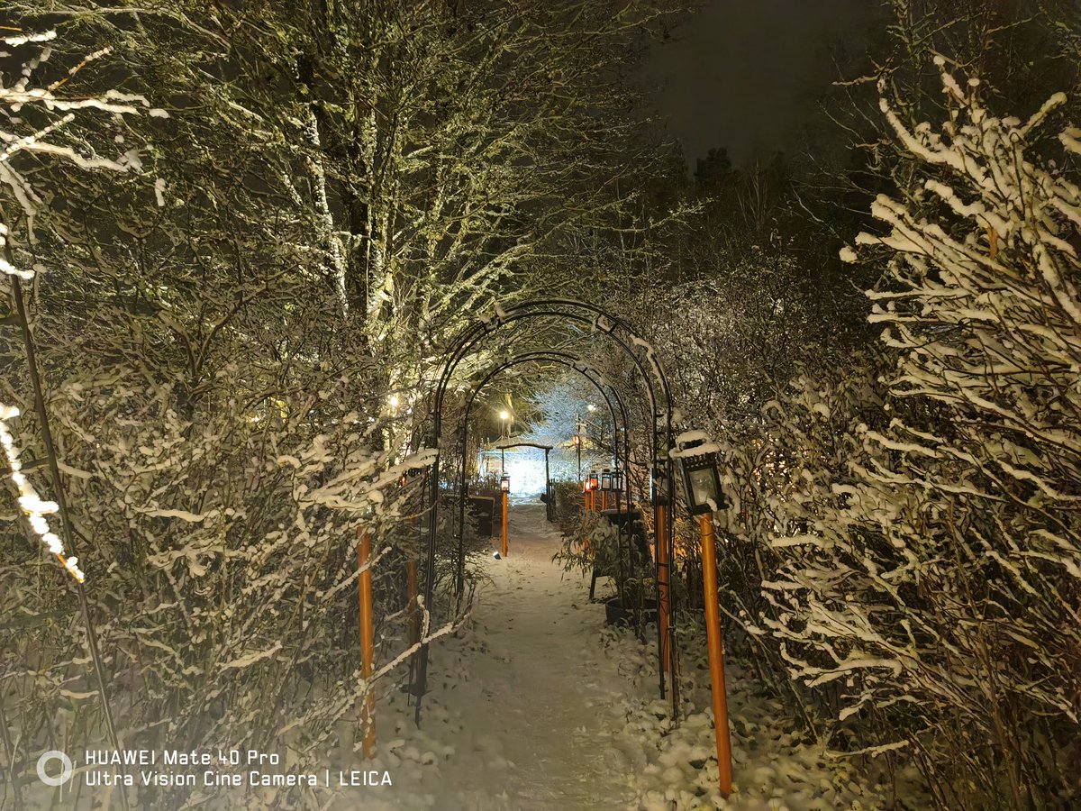 junastweeter's tweet image. 