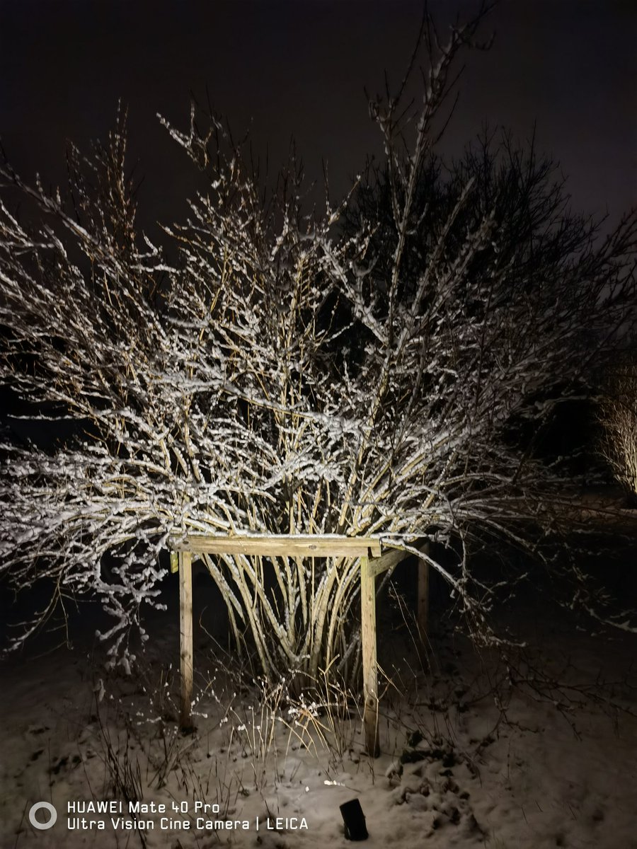 junastweeter's tweet image. 