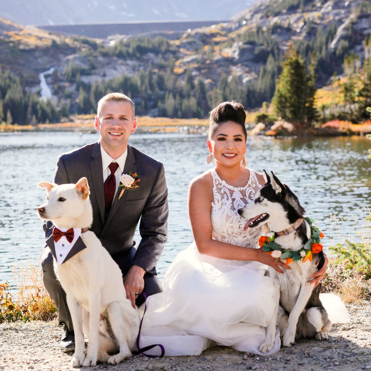CompassRoseFlo1's tweet photo. Beautiful puppies and a beautiful landscape? You really can't ask for more! 
Photo: Becky Young Photography https://t.co/bY2Rr9v8tl