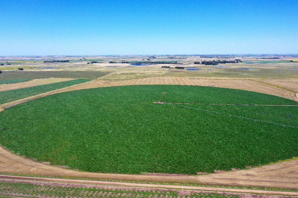 El objetivo es estar en un 60% de agua útil durante el periodo critico. Hoy estamos con consumos de 6-7 mm por día Asique hay que estar atentos y llevar el balance hídrico ajustado