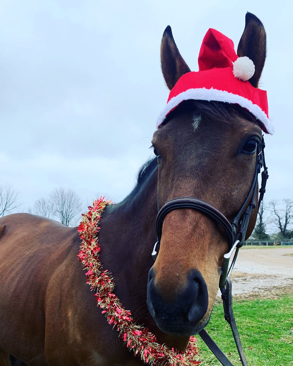 CANTER Kentucky tweet media