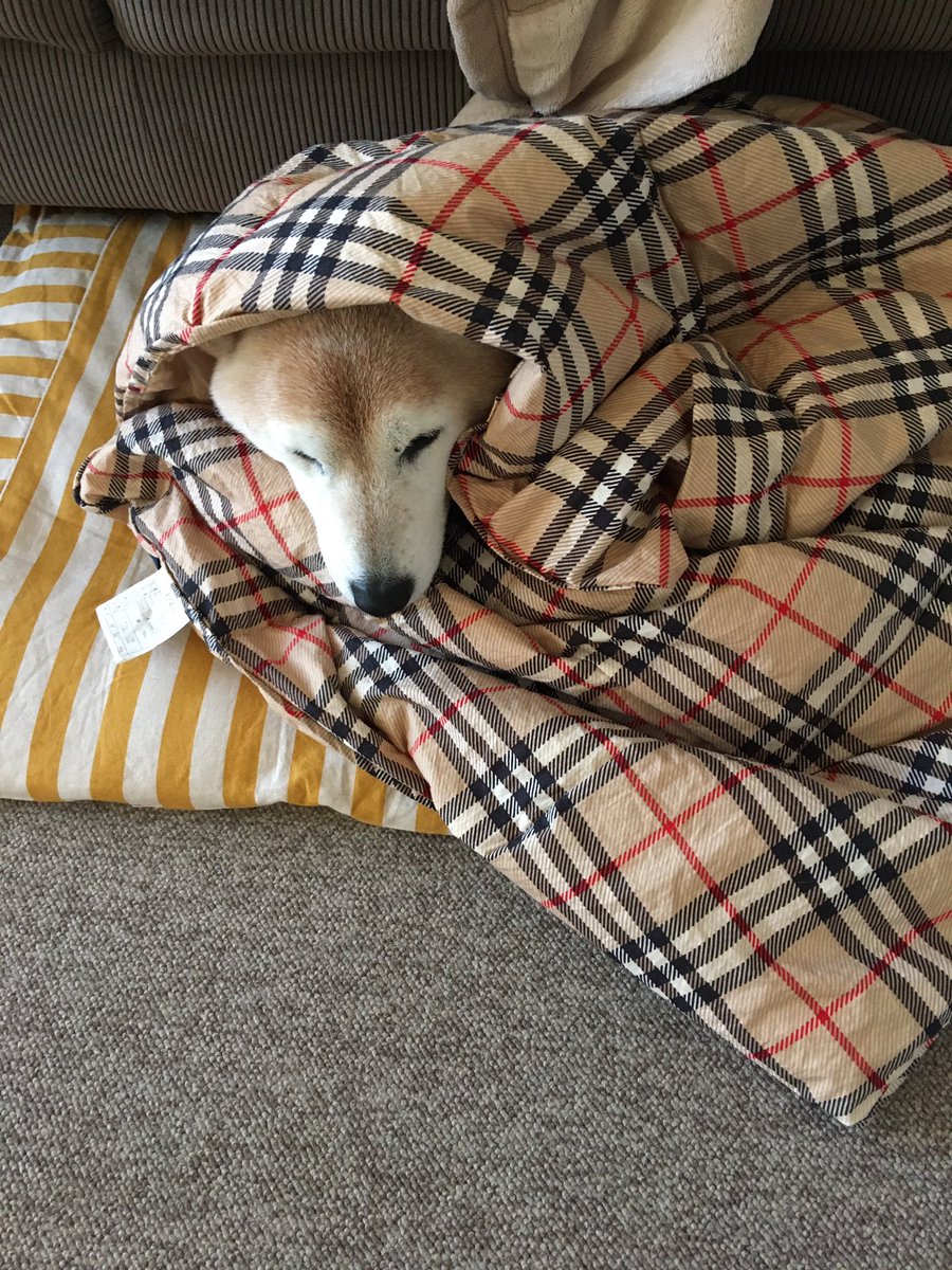 90 90 8c Twitter Search