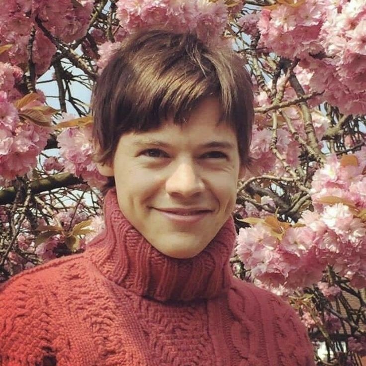 Harry Styles as Mick Jagger; a thread