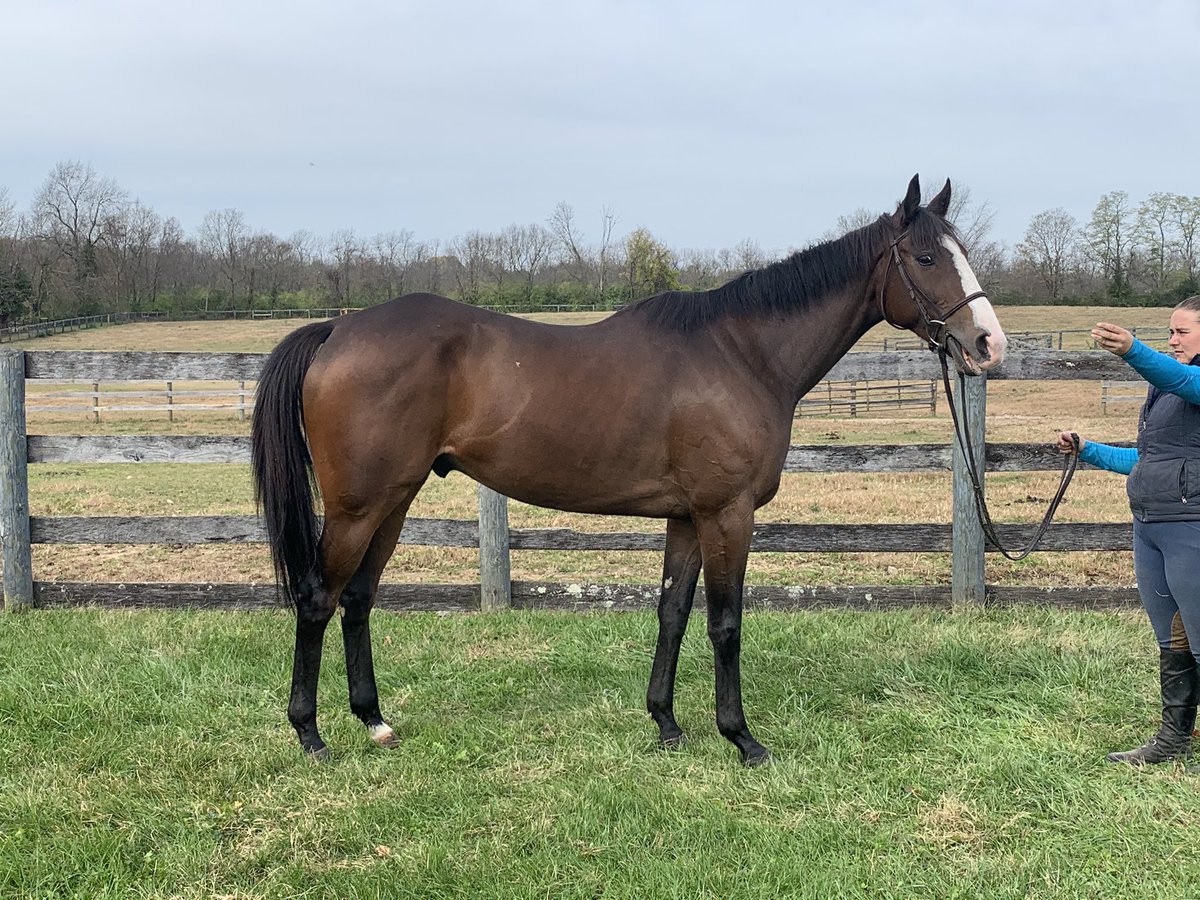 CANTER Kentucky tweet media