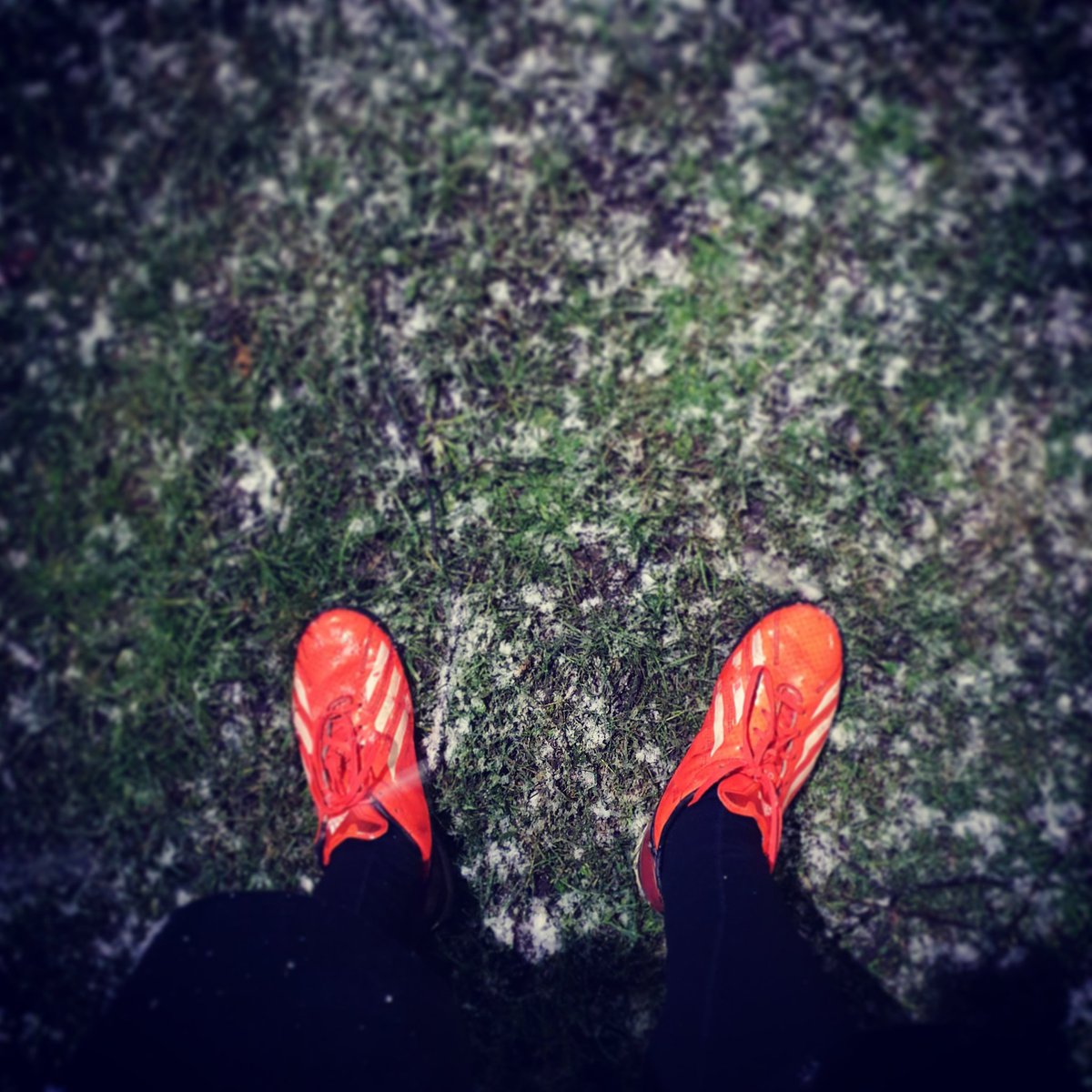 Adam_W_Conway's tweet photo. Chilly night run #NYResolutions 🥶 https://t.co/sJc2t7fu1I