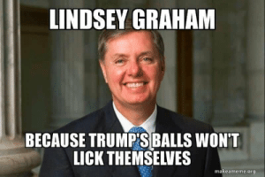 TeriMcGill's tweet photo. @whatifisaidit @guyfawkestoo #LindseyGrahamIsATraitor #SendLindseyHome #LindseyGrahamIsACoward #LindseyGrahamResign #LindseyIsATraitor #GOPCorrupt #GOPComplicit #GOPPartyOverCountry #RepublicansCorrupt #VoteThemOut #GOPMustGo #GOPComplicitTraitors #PartyOverCountry https://t.co/RcTiWnnmkw