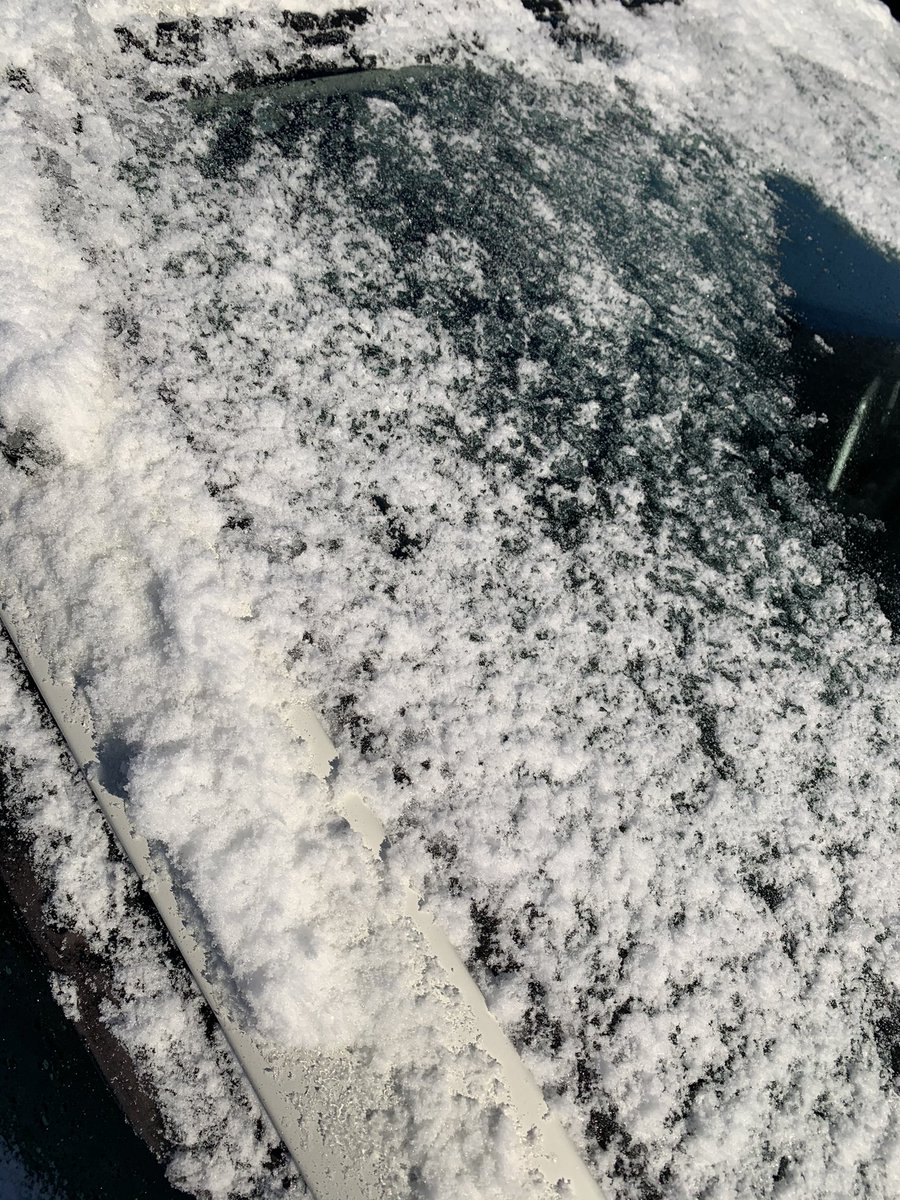ほこてぃー 車のガラスの氷はレジ袋に入れたお湯 で溶けるなんて伊藤家の食卓で見るようなツイート見かけたけど 10度近い気温の中雪の下に埋まったガチガチに固まった氷はお湯 どころか解氷スプレーでも効きゃしないんすよね 写真の車は朝陽浴びてたから溶け ほこてぃー 車のガラスの氷はレジ袋に入れたお湯 で溶けるなんて伊藤家の食卓で見るようなツイート見かけたけど 10度近い気温の中雪の下に埋まったガチガチに固まった氷はお湯 どころか解氷スプレーでも効きゃしないんすよね 写真の車は朝陽浴びてたから溶け