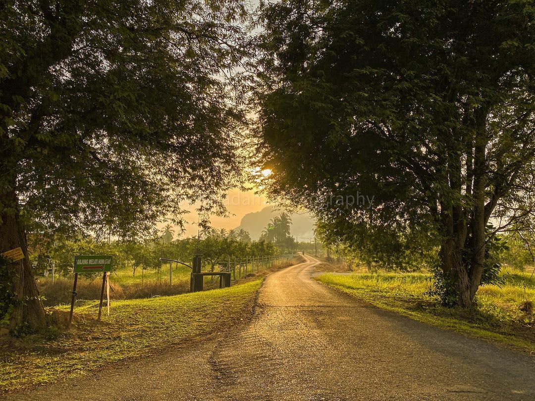 PerlisPermai's tweet photo. 𝗦𝗔𝗟𝗔𝗠 𝗣𝗘𝗥𝗟𝗜𝗦

08 Januari 2021 | 24 Jamadilawal 1442H

Selamat Pagi | 📷 Cahaya kehidupan @ Tasik Melati, Perlis

Kredit foto : Syish Adam 

#PerlisPermai💛💙 #SelamatPagi🌄 
#JomPiPerlis #TasikMelati #Perlisku #Malaysia🇲🇾 https://t.co/AsnNiZNBKx