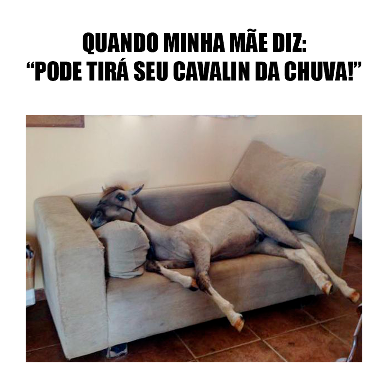 7mboots2's tweet photo. Prontooo, fica tranquila que meu cavalin num tá mais na chuva! 🤣 https://t.co/VMQjLAY5oR