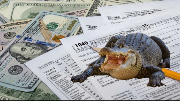 Gators Daily 🐊 tweet media